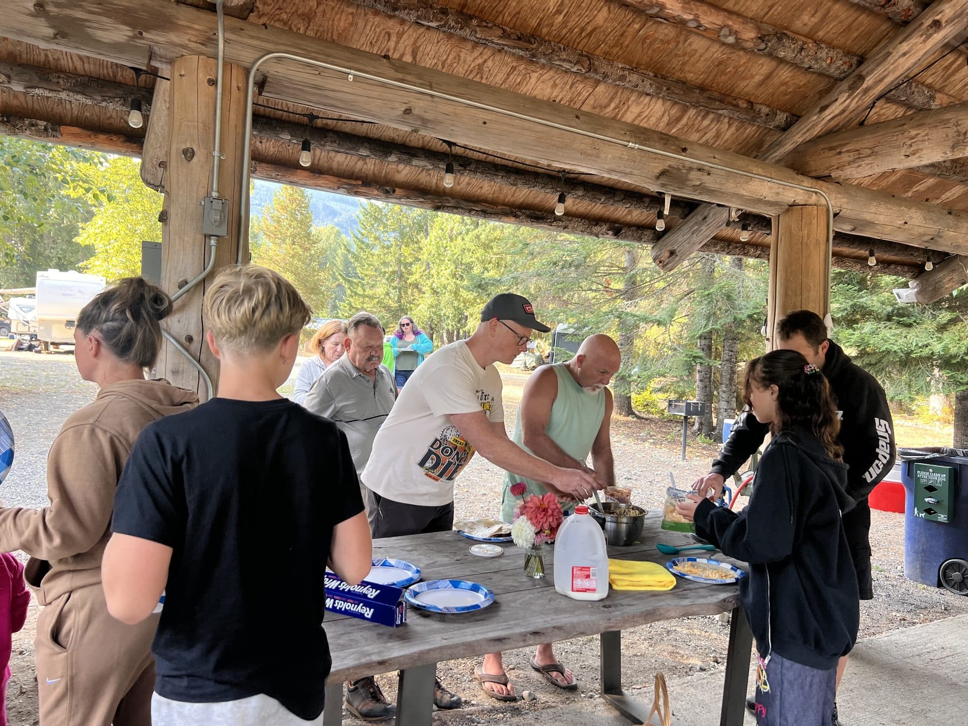 Two alpacas — one tan, one black — close-up at the corral