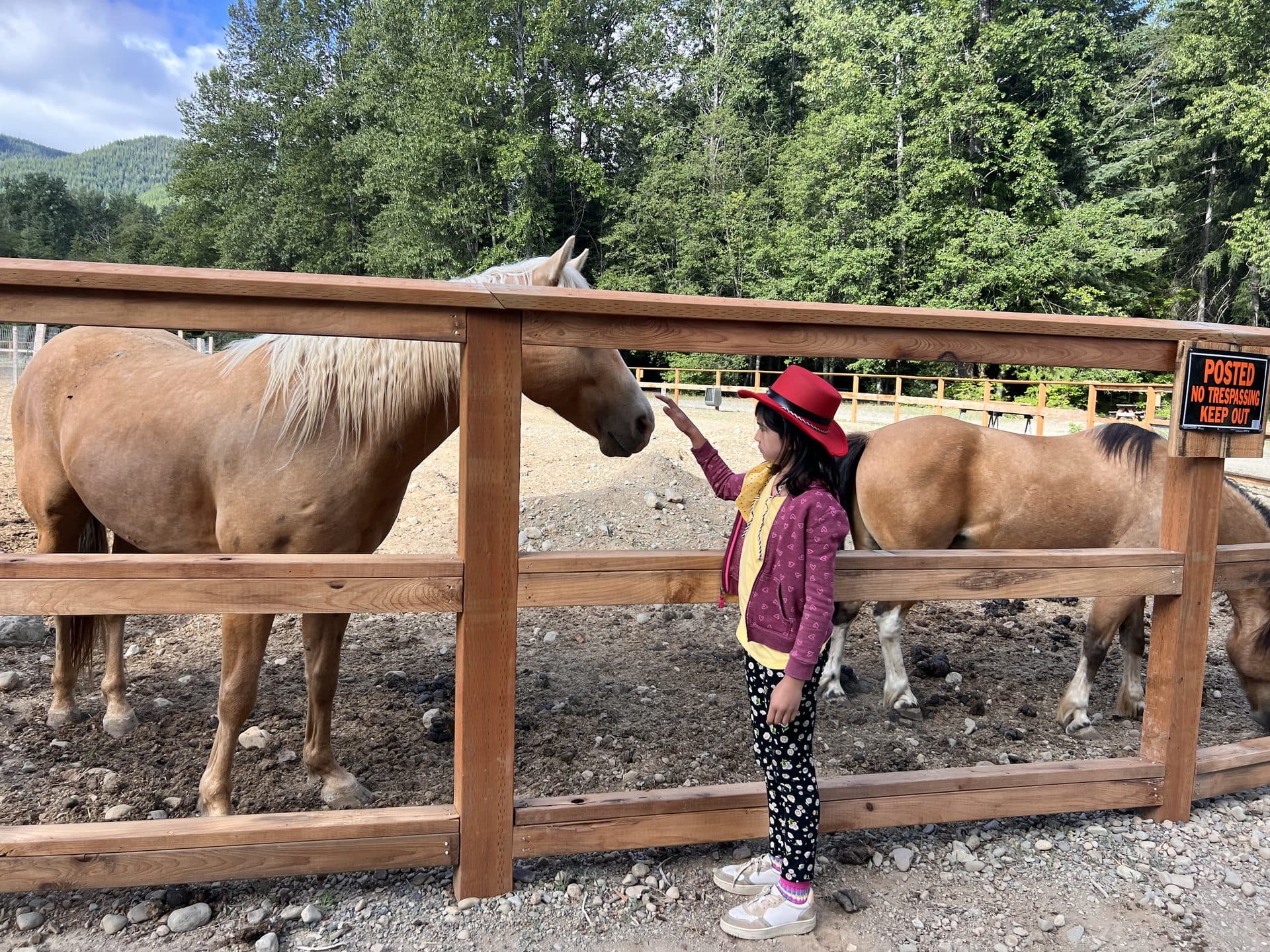 Child petting a horse at the corral fence