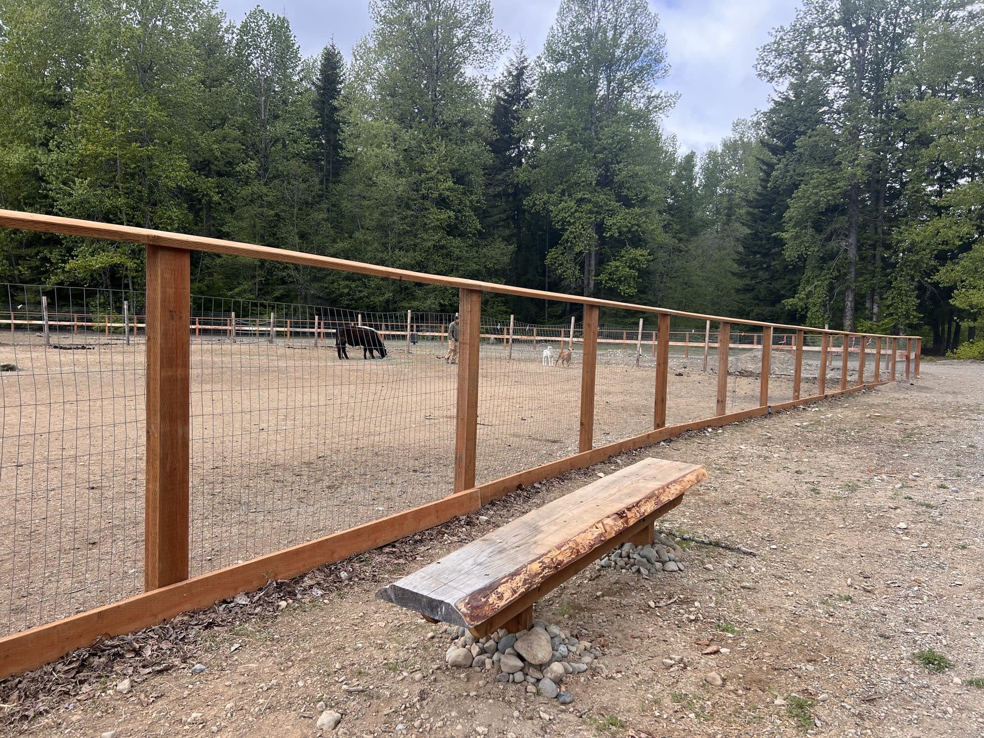Corral fence with bench seating and horses in background