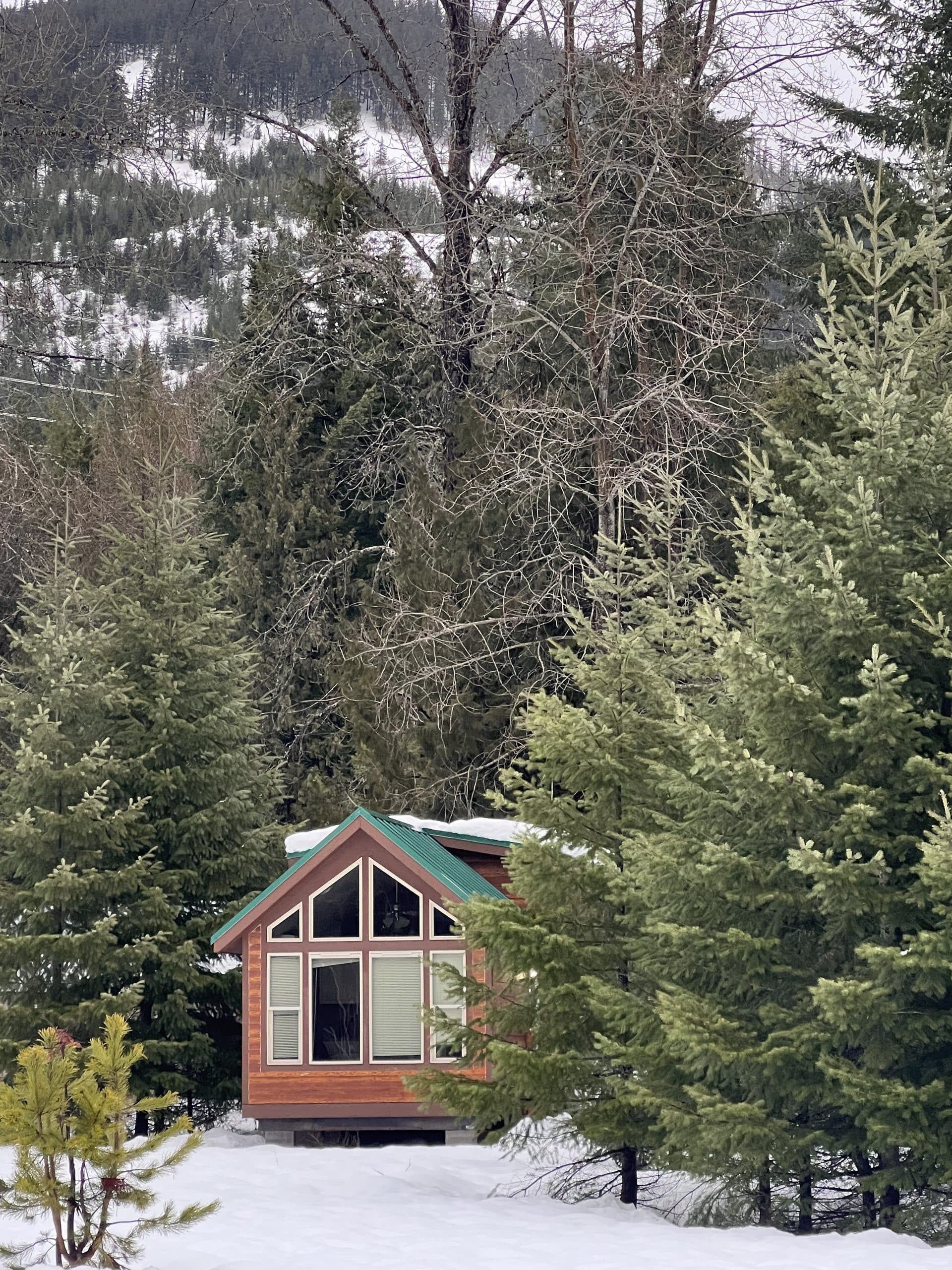 A-frame cabin surrounded by snowy evergreen trees near Snoqualmie Pass in winter