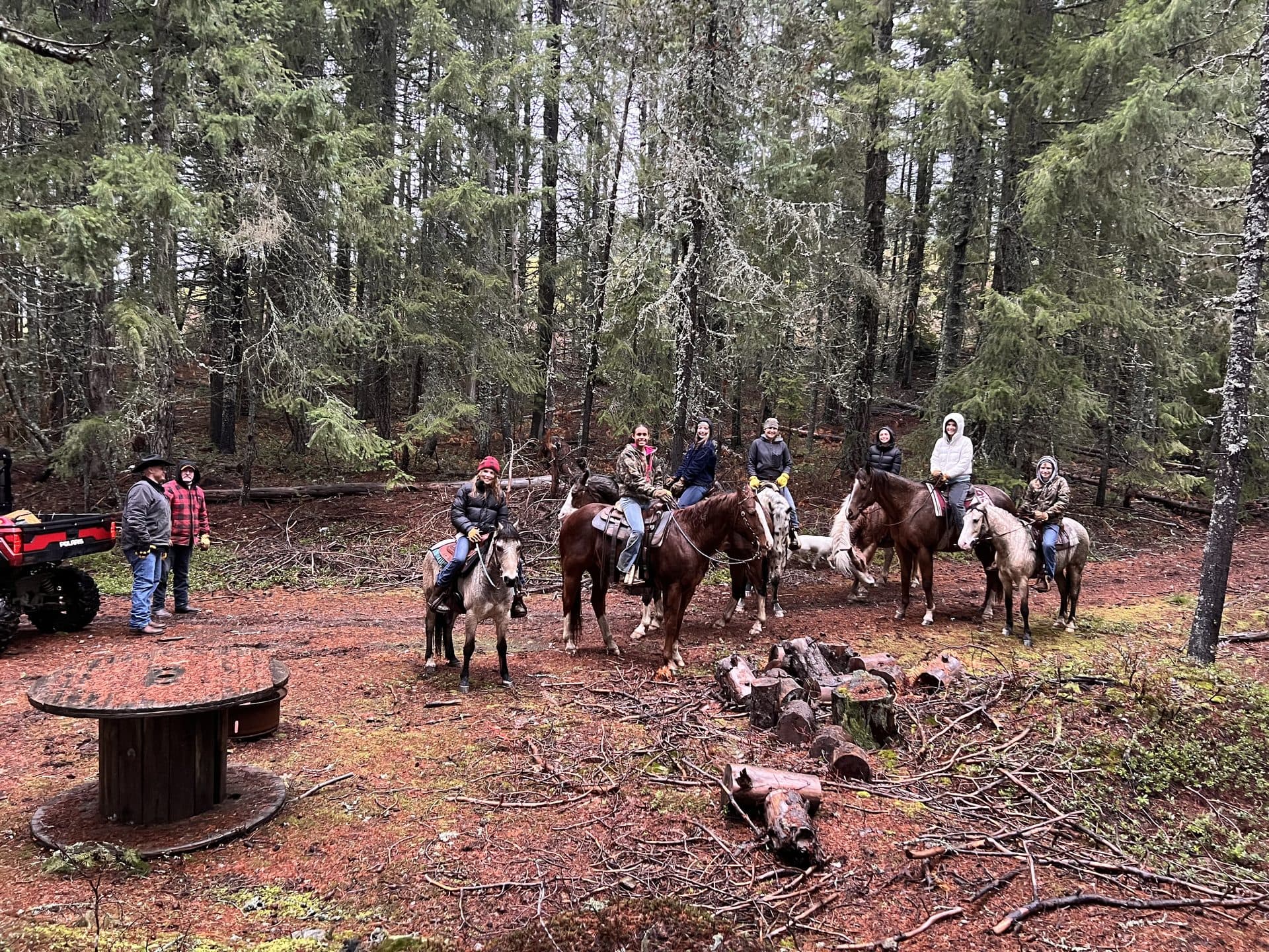Group horseback riding through the forest