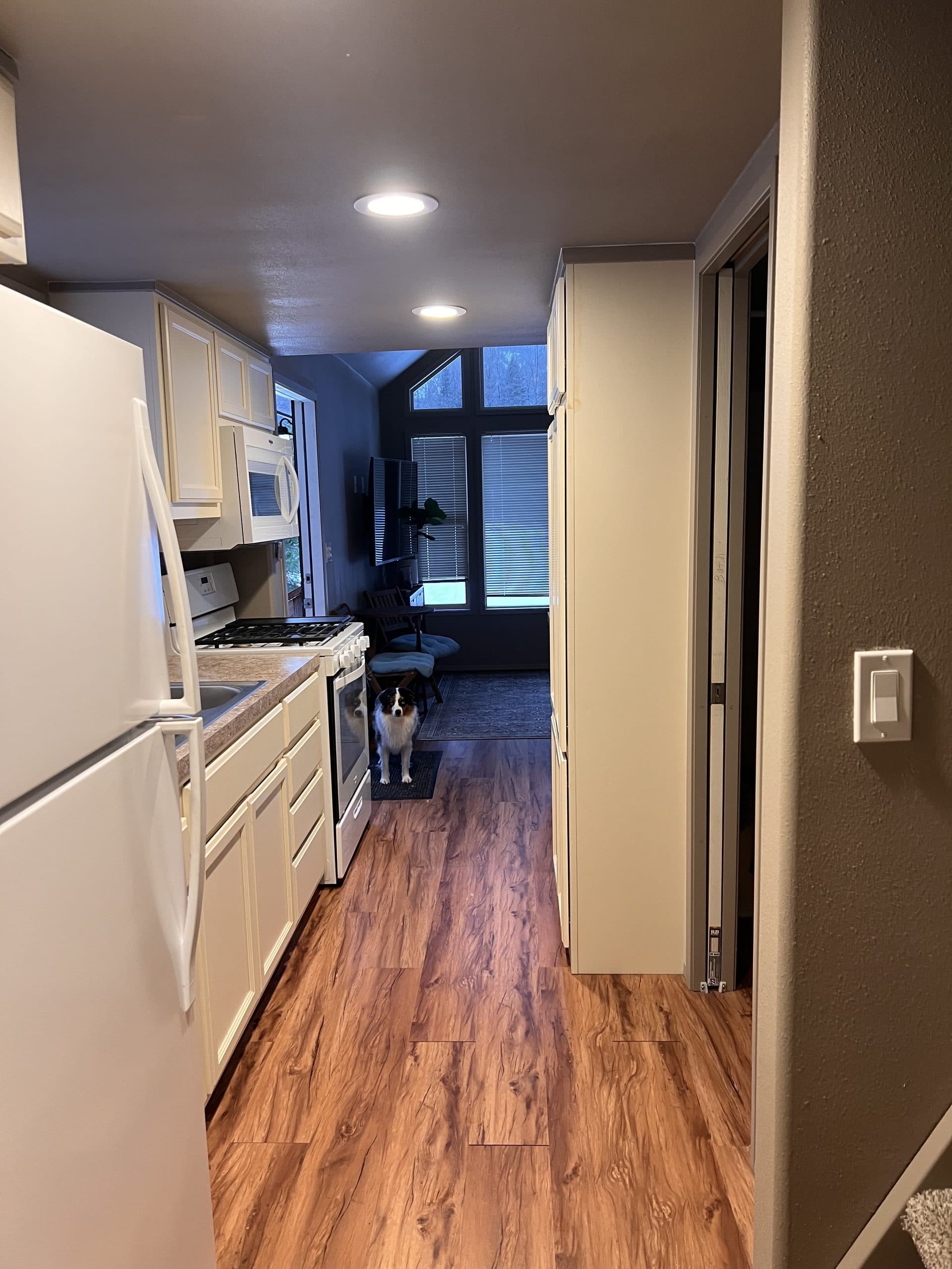 Tiny home full kitchen with stove, oven, and modern finishes